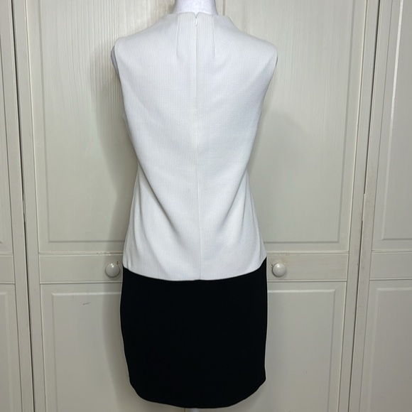 METAPHOR Women's White and Black Color Block Sleeveless Shift Dress Size 6 - Picture 5 of 8